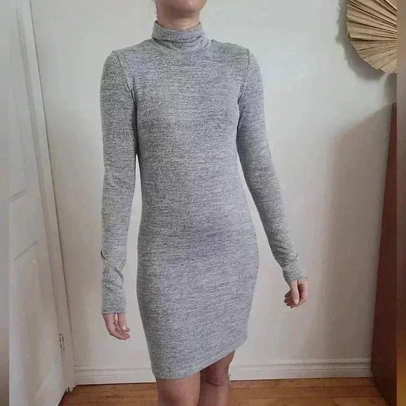 Wilfred | Dresses | Wilfred Free Aritzia Gray Turtleneck Fitted Stretchy  Dress | Poshmark